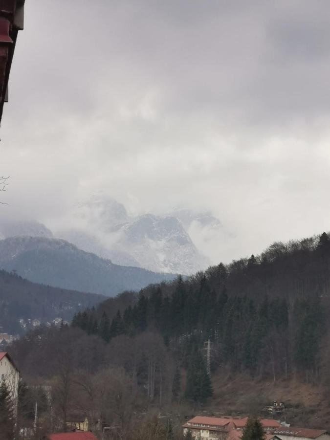 Apartament Apartament Panoramic View Sinaia Zewnętrze zdjęcie